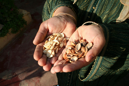 Discover the hidden benefits of Moroccan Argan nuts - spinova
